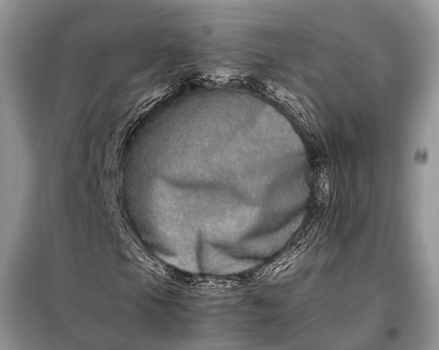 X0000097961105200804071023
