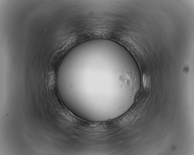 X0000097961107200804071024