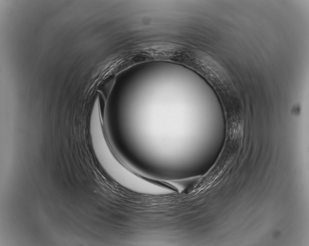 X0000097961108200804071024