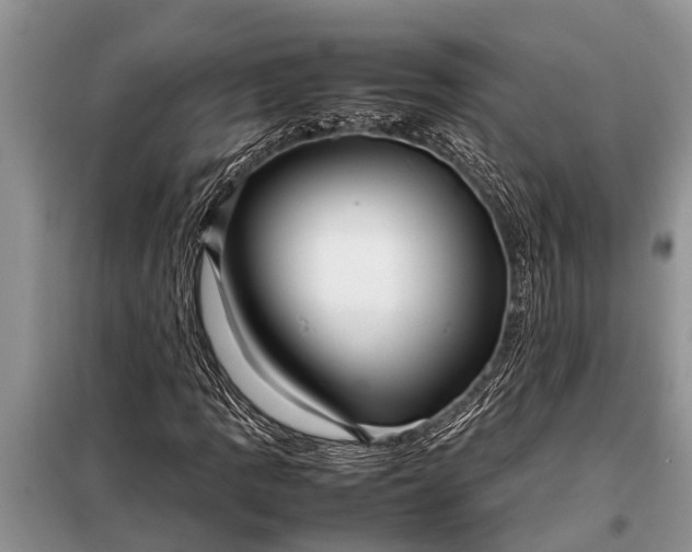 X0000097961109200804071024