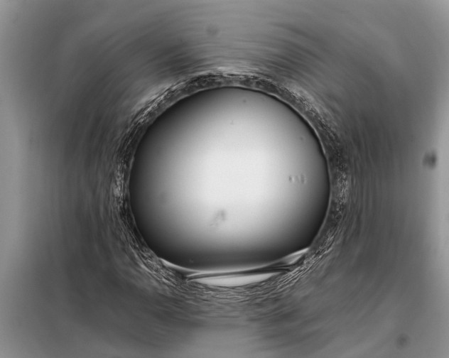 X0000097961110200804071024