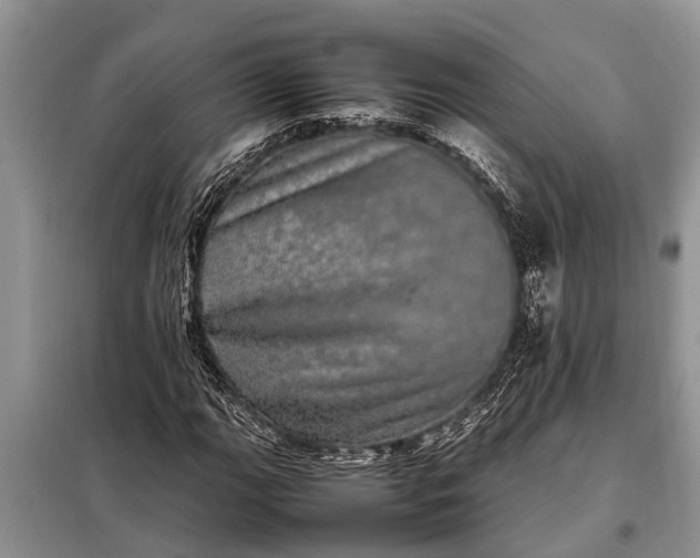 X0000097961111200804071024