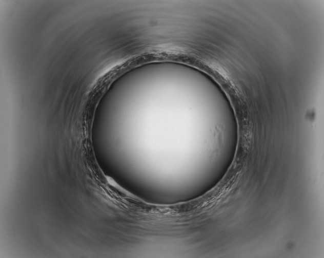 X0000097961112200804071024
