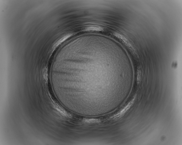 X0000097961113200804071024