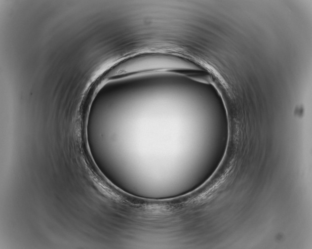 X0000097961114200804071024