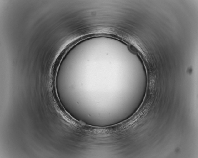 X0000097961116200804071024