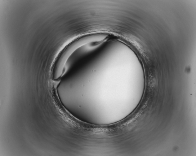 X0000097961118200804071024
