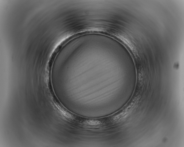 X0000097961119200804071024