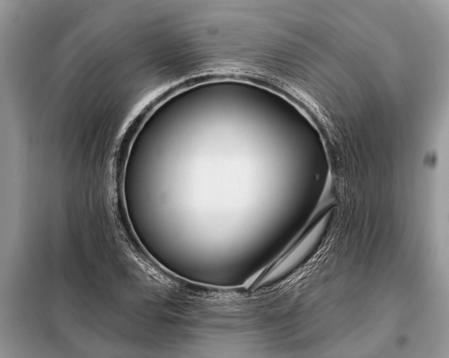 X0000097961120200804071024