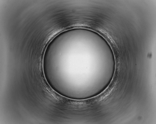X0000097961121200804071024