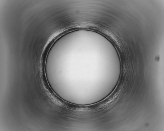 X0000097961122200804071024