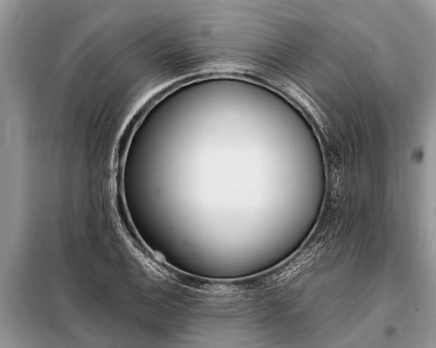 X0000097961124200804071024