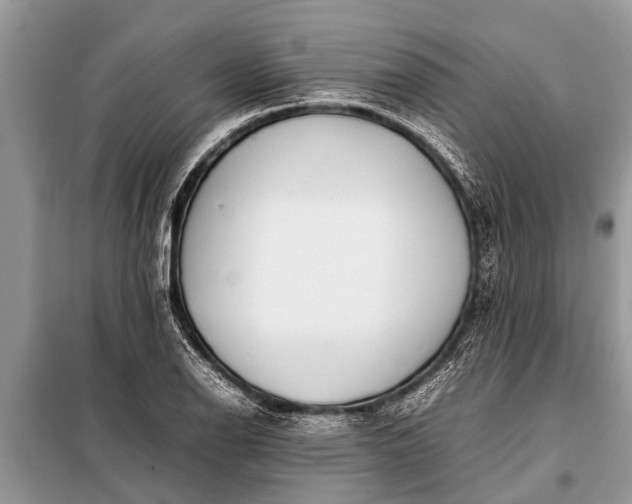 X0000097961126200804071024