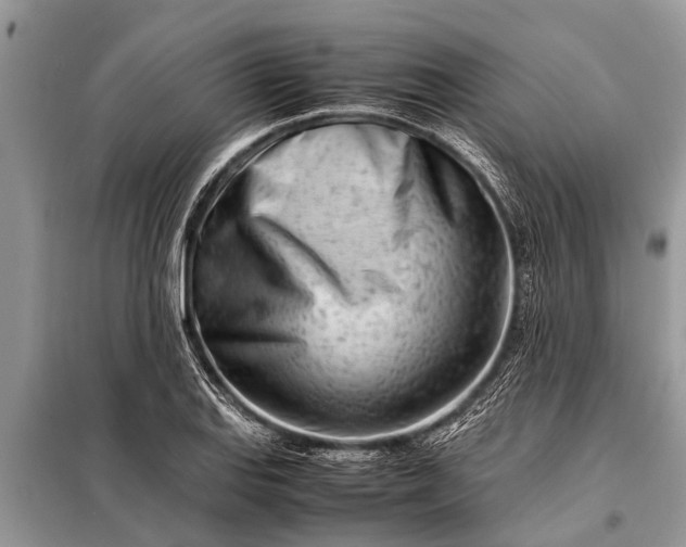 X0000097961127200804071024