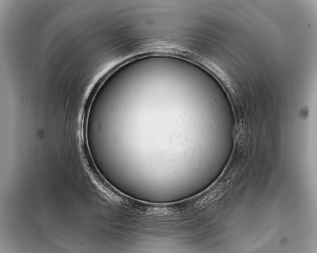 X0000097961128200804071024
