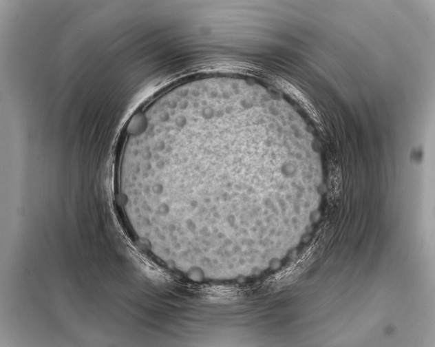 X0000097961130200804071024