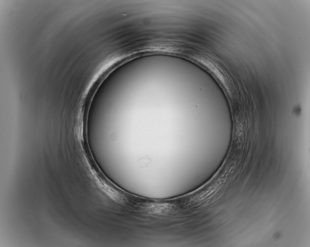 X0000097961131200804071024