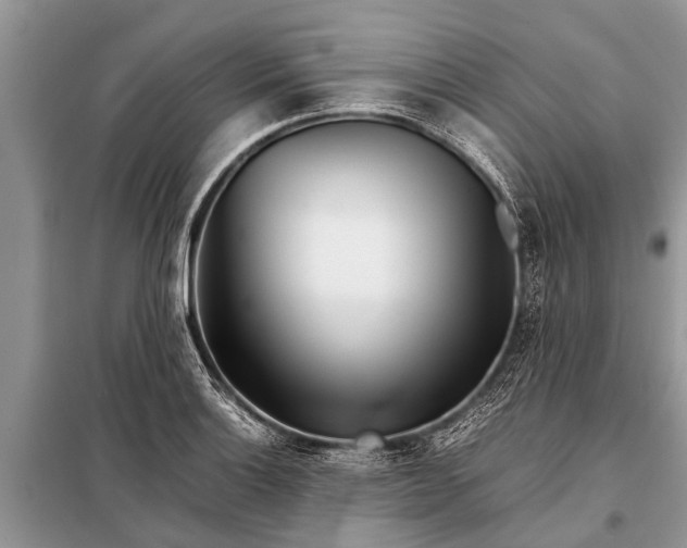 X0000097961132200804071024