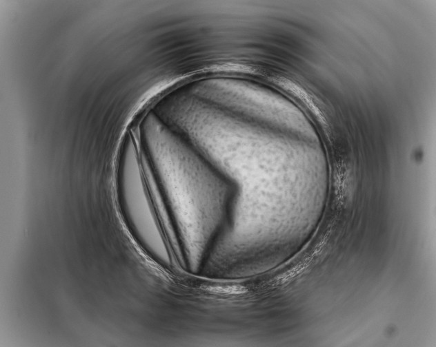 X0000097961133200804071024