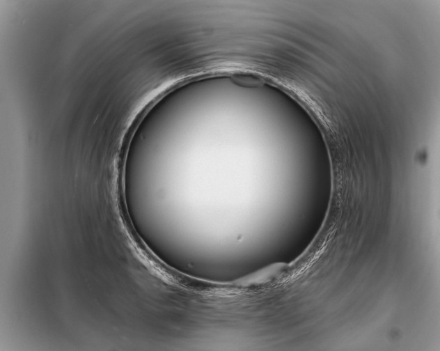 X0000097961134200804071024