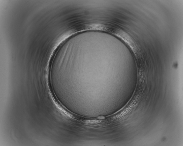 X0000097961135200804071024
