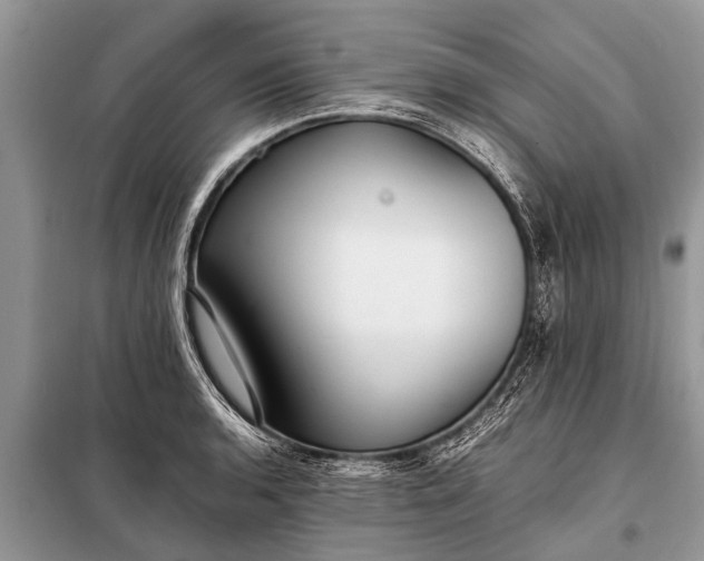 X0000097961136200804071024