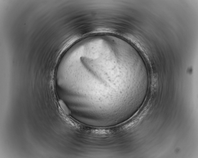 X0000097961137200804071024