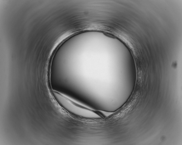 X0000097961138200804071024