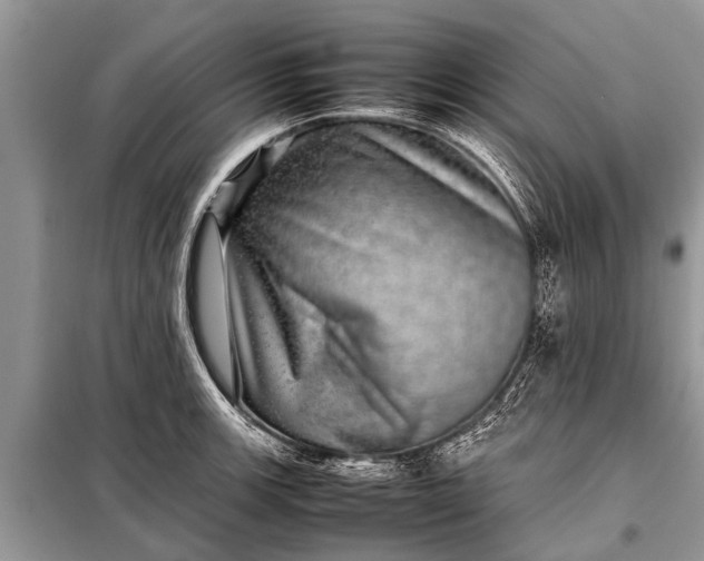 X0000097961139200804071024