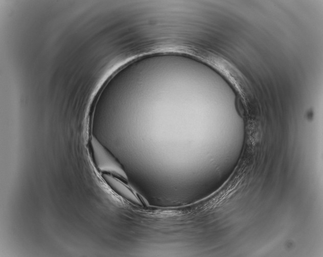 X0000097961140200804071024