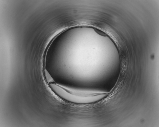 X0000097961142200804071024