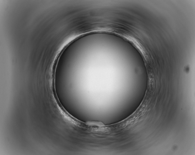X0000097961143200804071024