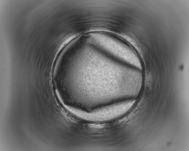 X0000097961145200804071024