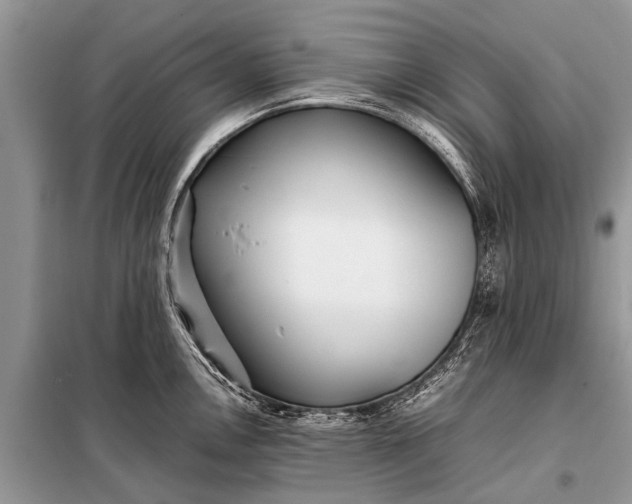 X0000097961146200804071024