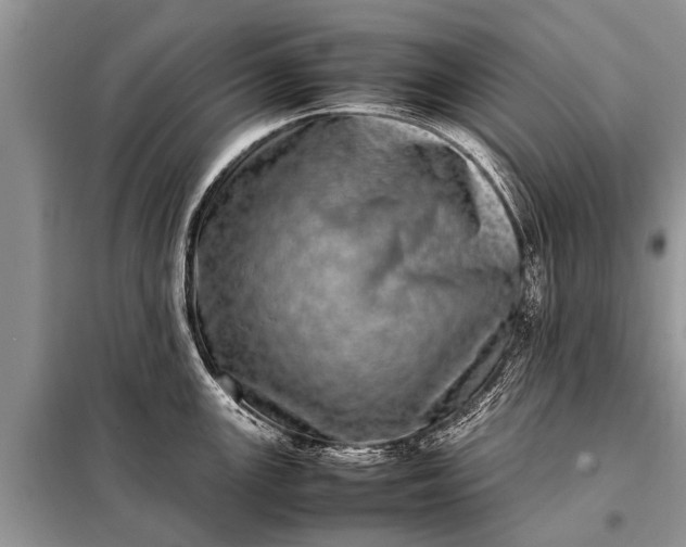 X0000097961147200804071024