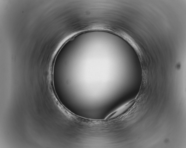 X0000097961148200804071024