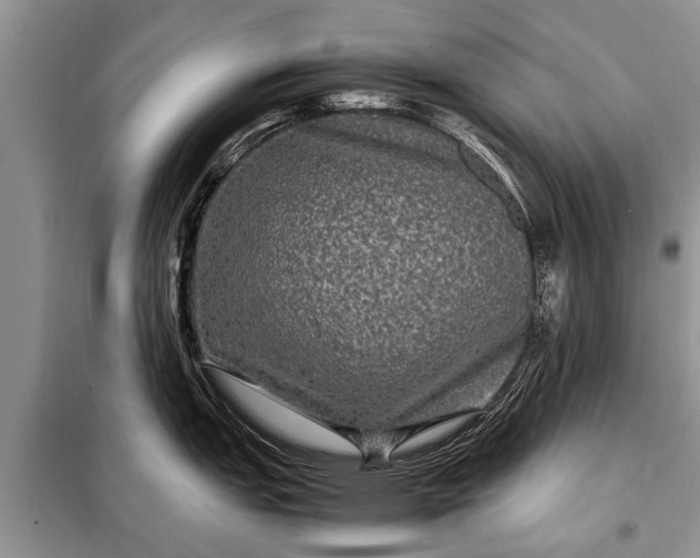 X0000097961151200804071024