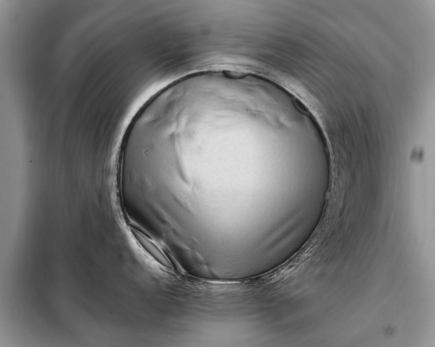 X0000097961152200804071024