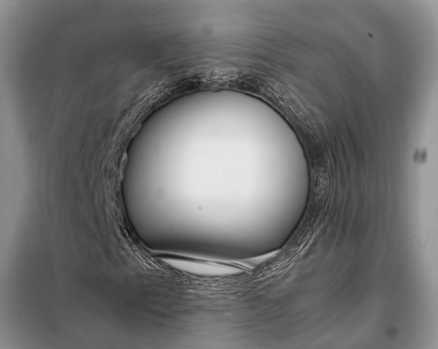 X0000097961153200804071023