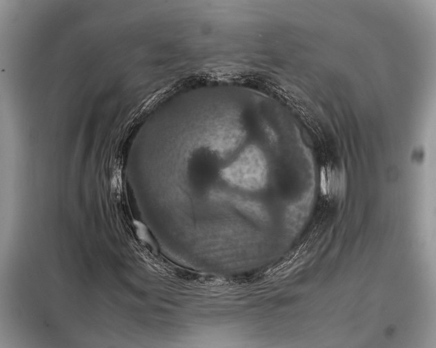 X0000097961155200804071023