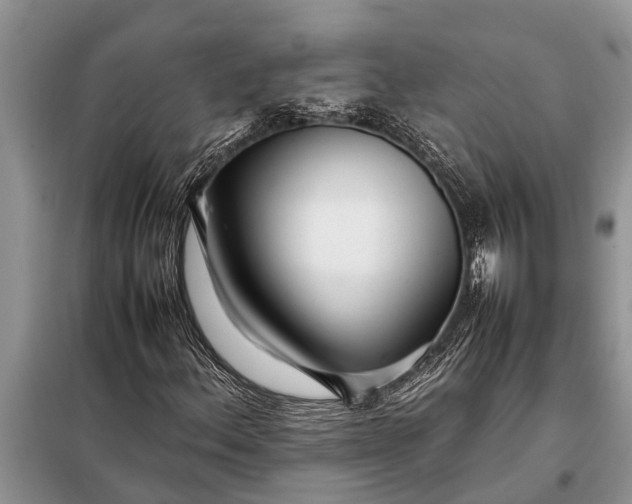 X0000097961156200804071023