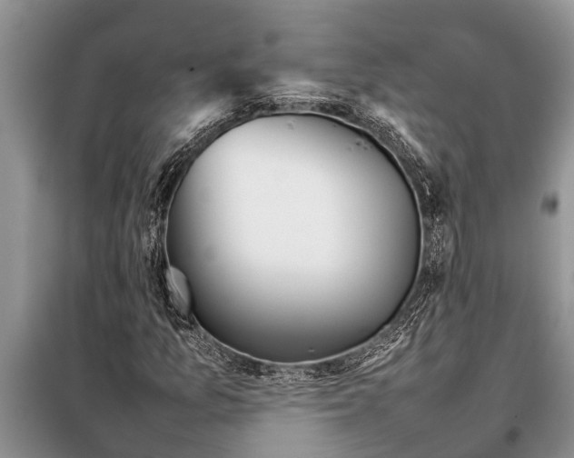 X0000097961157200804071023