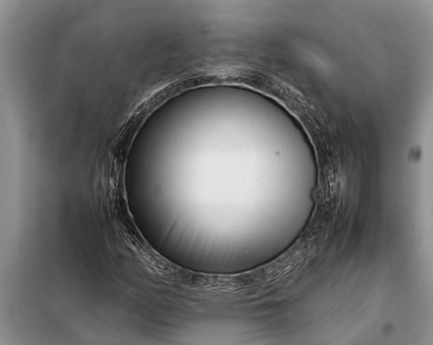 X0000097961158200804071023