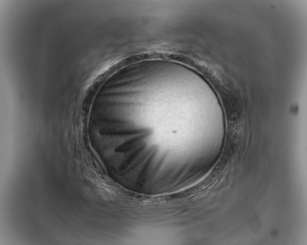 X0000097961159200804071023