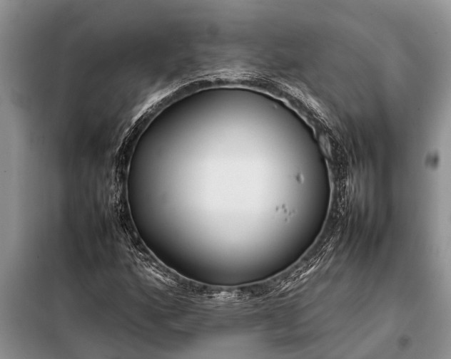 X0000097961160200804071023