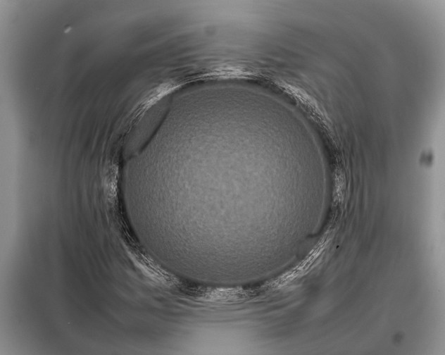 X0000097961161200804071023