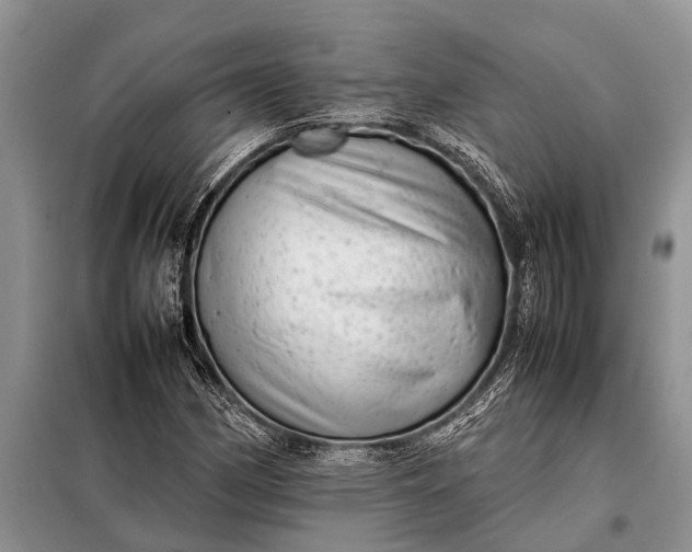 X0000097961162200804071023