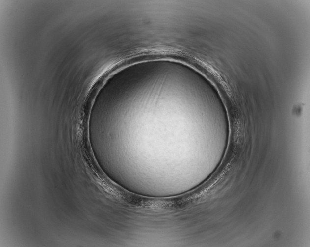 X0000097961163200804071023