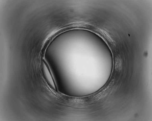 X0000097961164200804071023