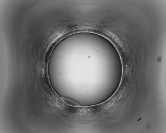 X0000097961165200804071023